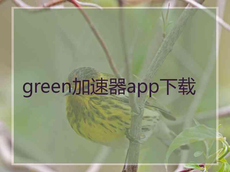 green加速器app下载