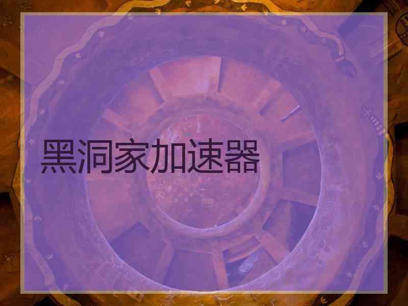 黑洞家加速器