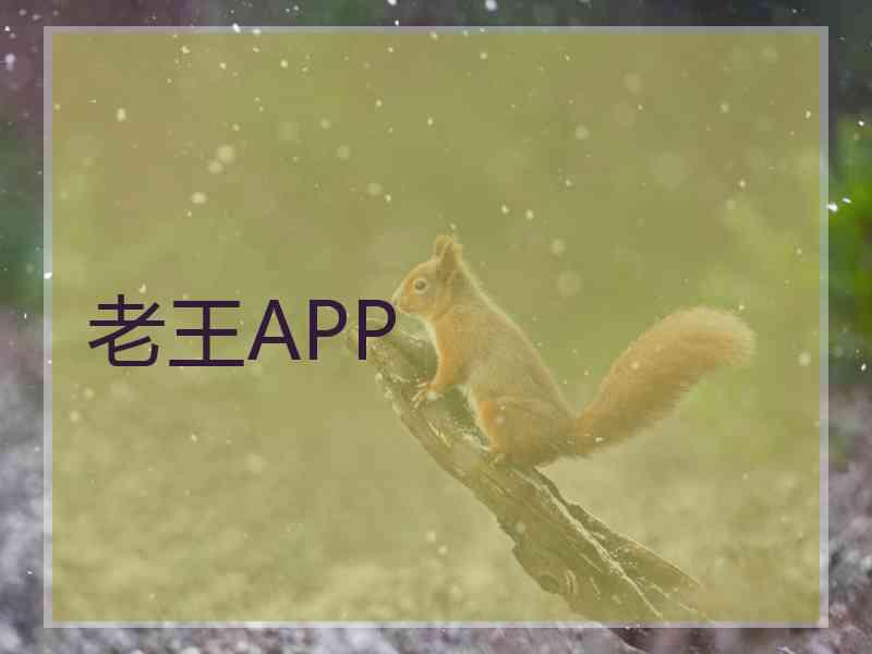 老王APP