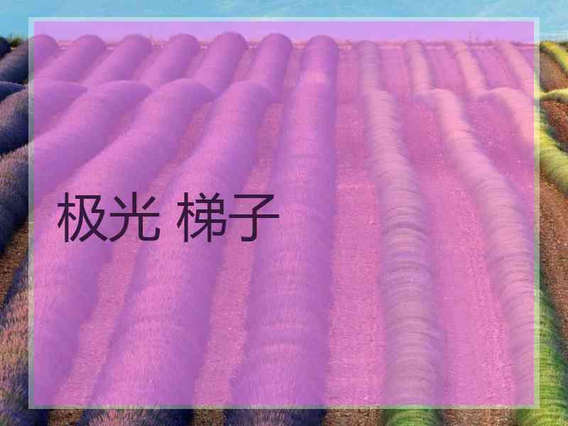 极光 梯子