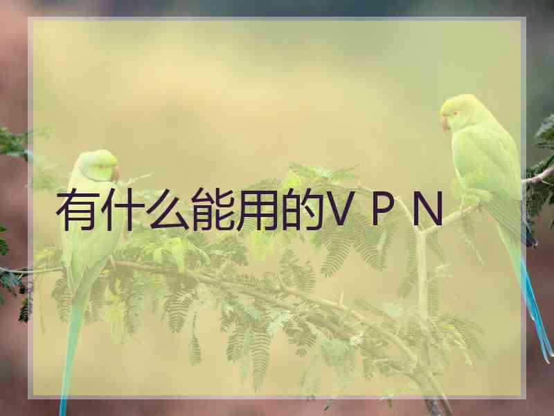 有什么能用的V P N