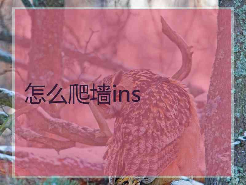 怎么爬墙ins