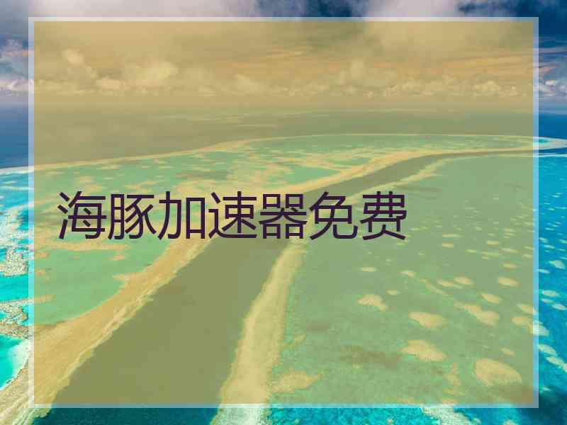 海豚加速器免费