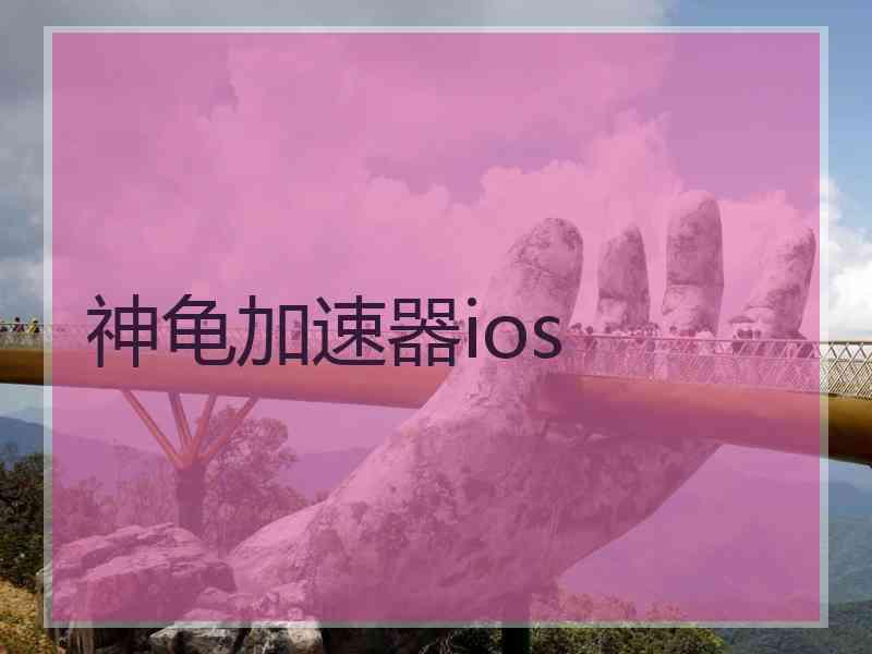 神龟加速器ios