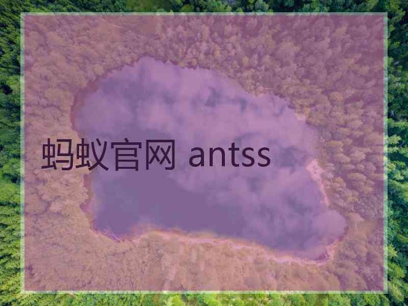 蚂蚁官网 antss