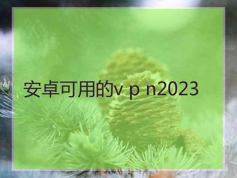 安卓可用的v p n2023