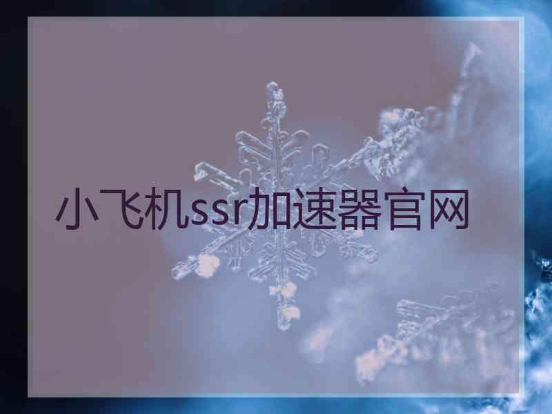 小飞机ssr加速器官网