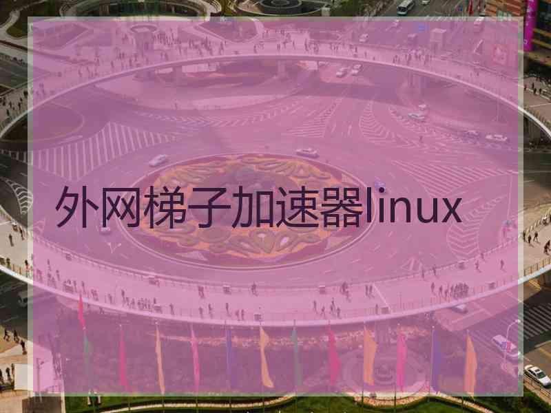 外网梯子加速器linux