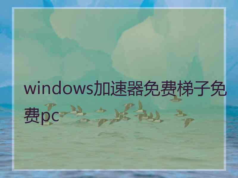 windows加速器免费梯子免费pc