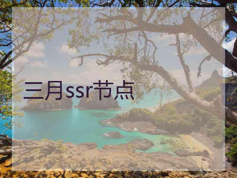 三月ssr节点