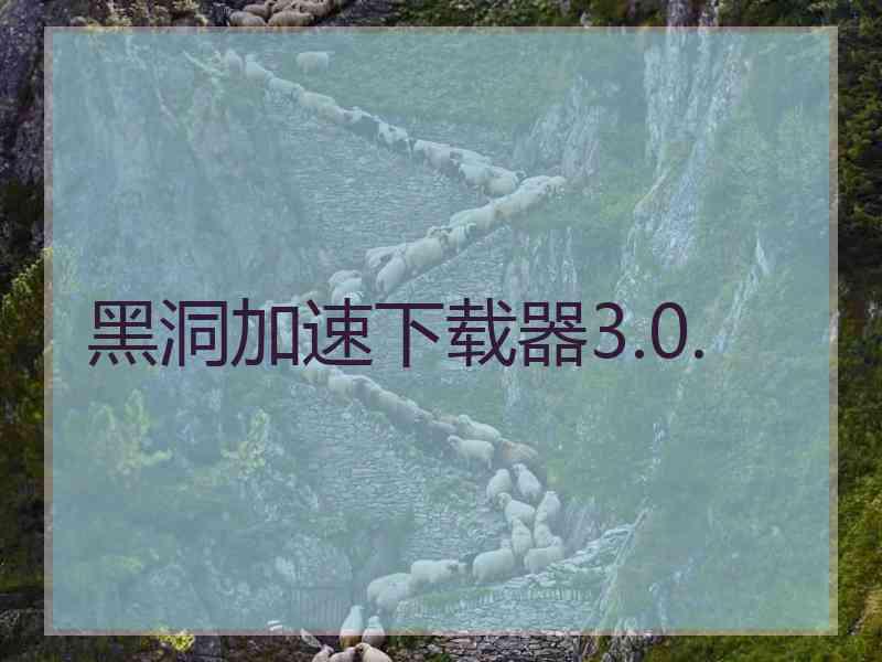 黑洞加速下载器3.0.