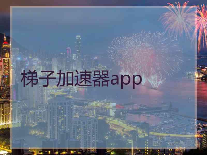 梯子加速器app