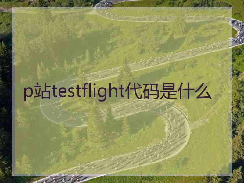 p站testflight代码是什么