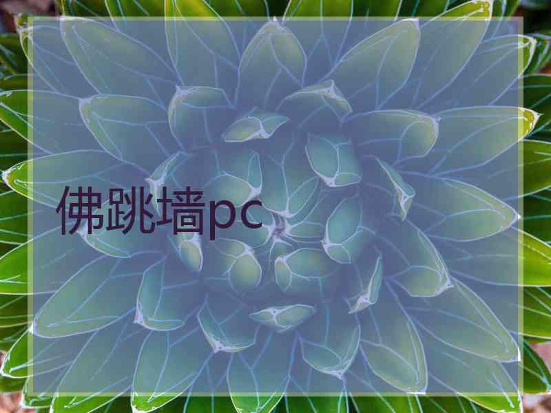 佛跳墙pc