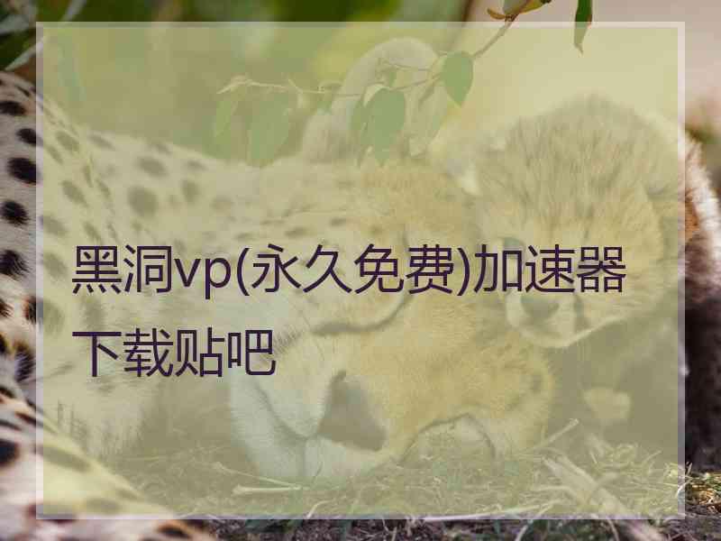 黑洞vp(永久免费)加速器下载贴吧