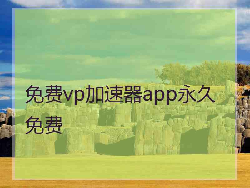 免费vp加速器app永久免费