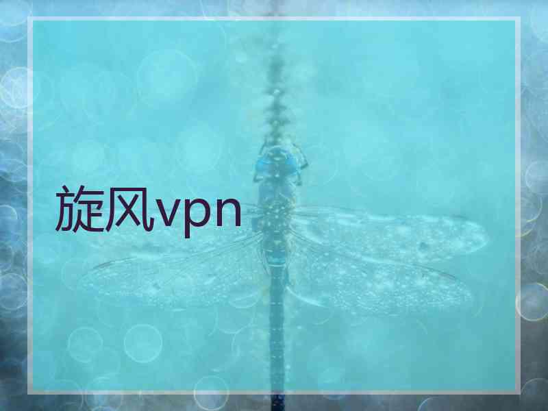 旋风vpn