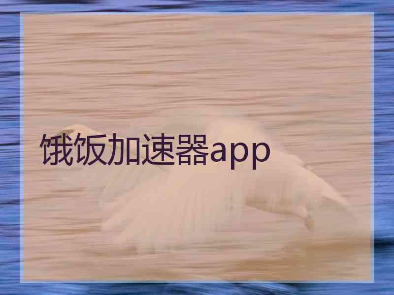 饿饭加速器app