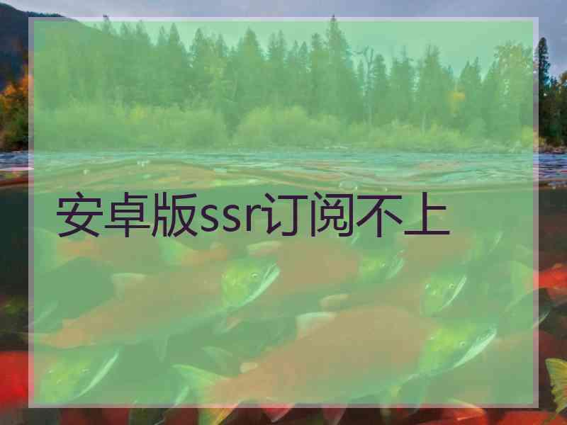 安卓版ssr订阅不上