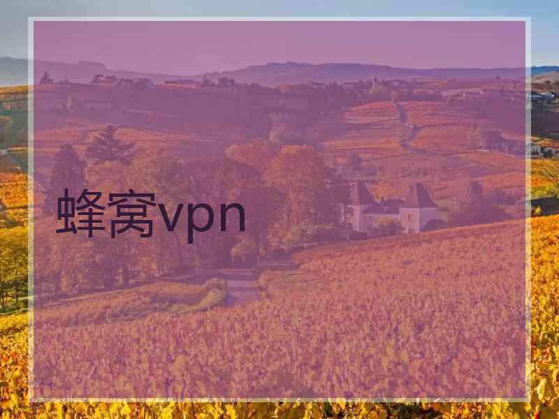 蜂窝vpn