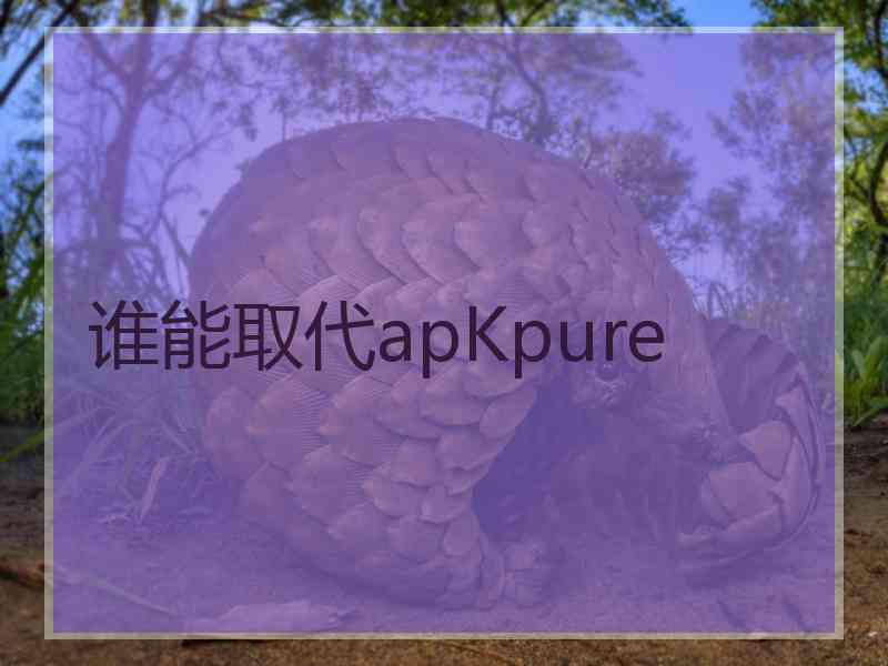 谁能取代apKpure