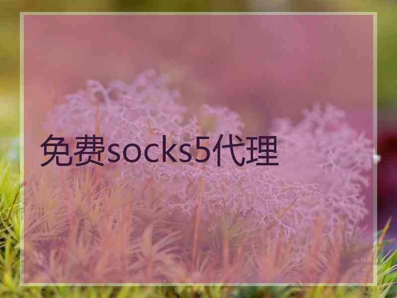 免费socks5代理