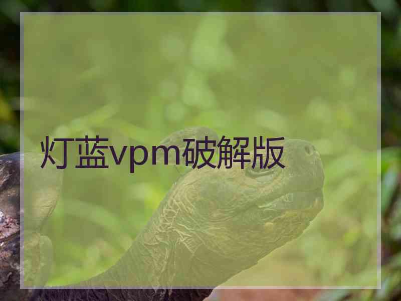 灯蓝vpm破解版