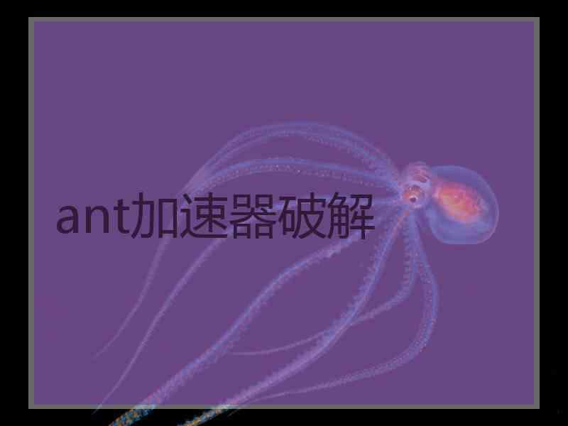 ant加速器破解