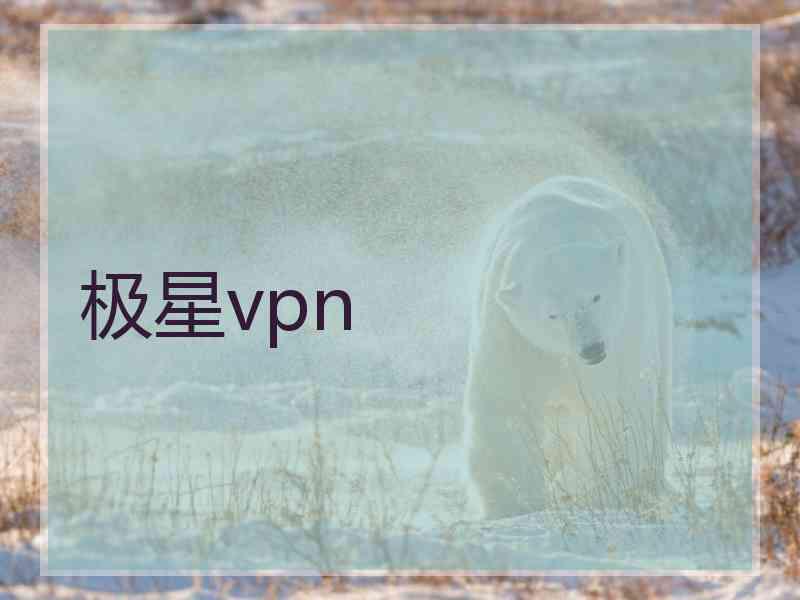 极星vpn