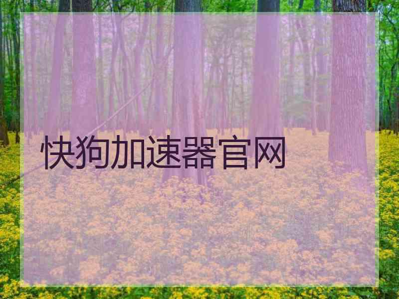 快狗加速器官网