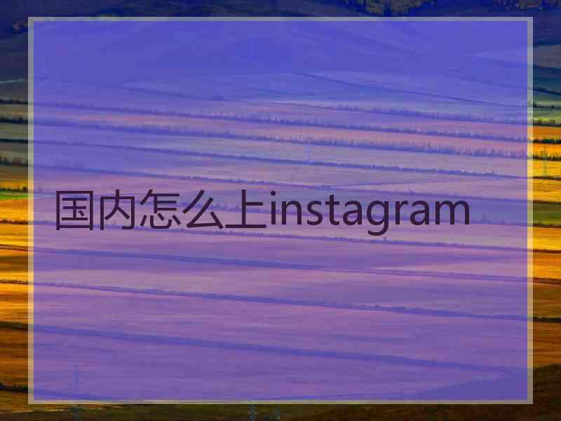 国内怎么上instagram