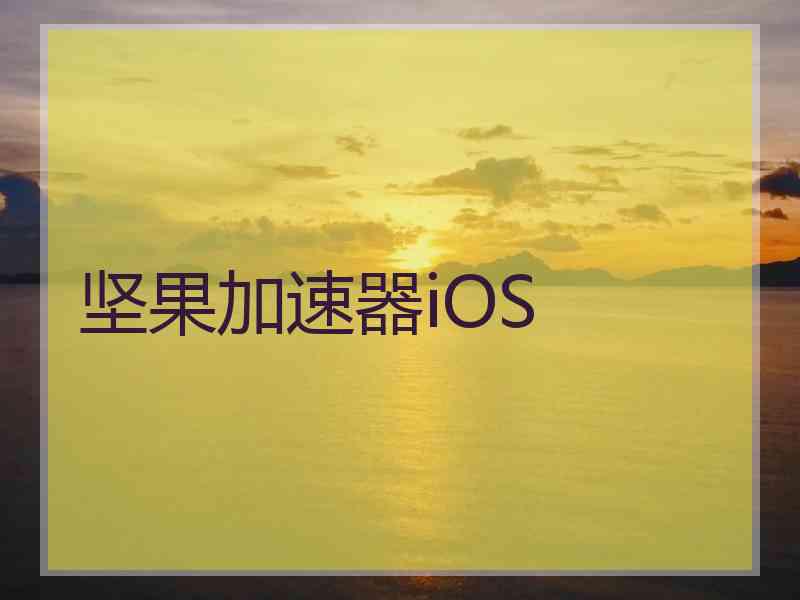 坚果加速器iOS