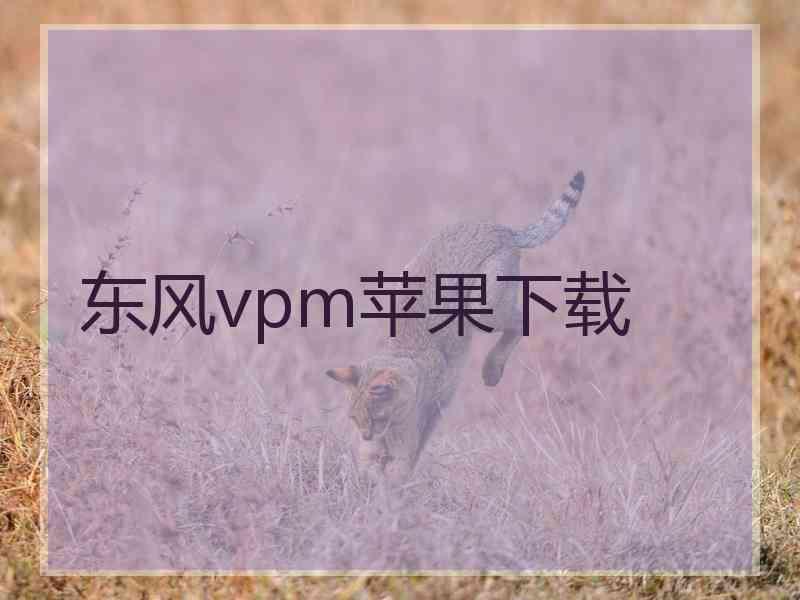 东风vpm苹果下载