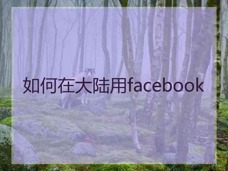 如何在大陆用facebook