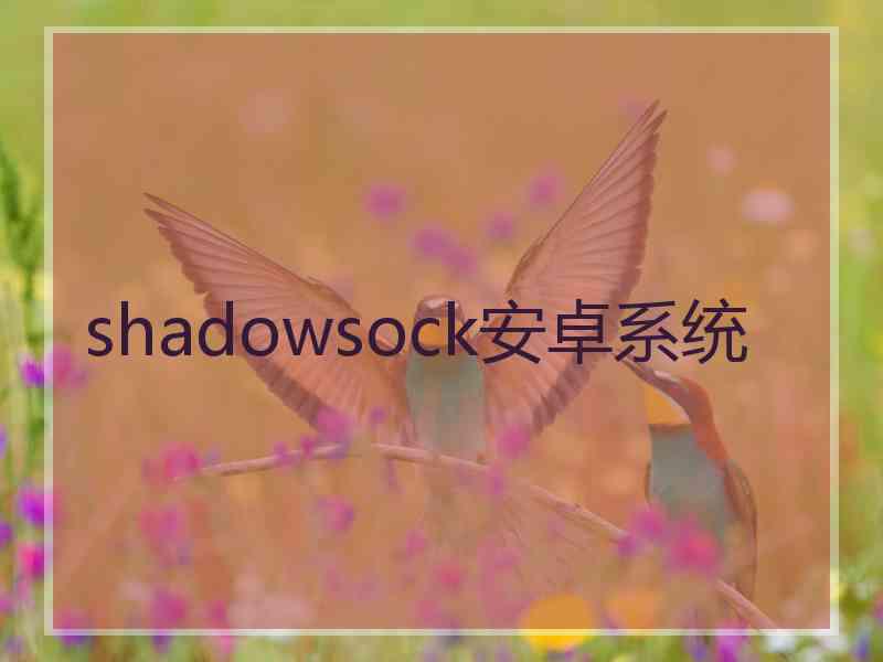 shadowsock安卓系统