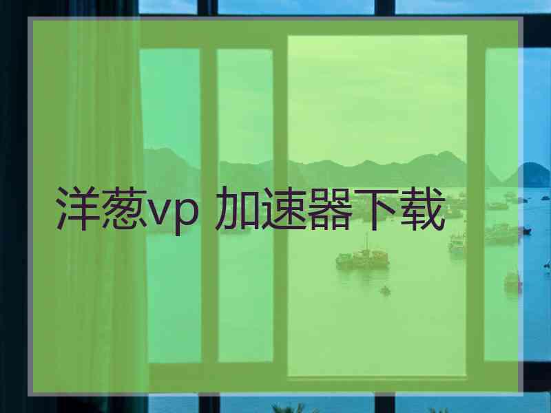 洋葱vp 加速器下载