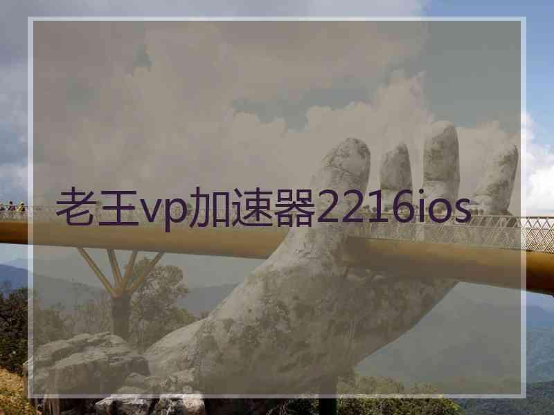 老王vp加速器2216ios