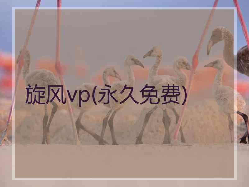 旋风vp(永久免费)