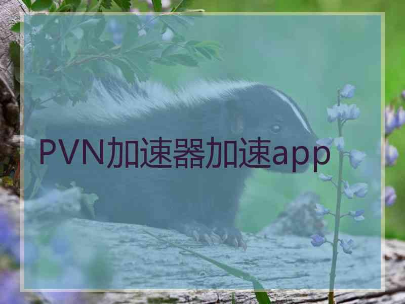 PVN加速器加速app