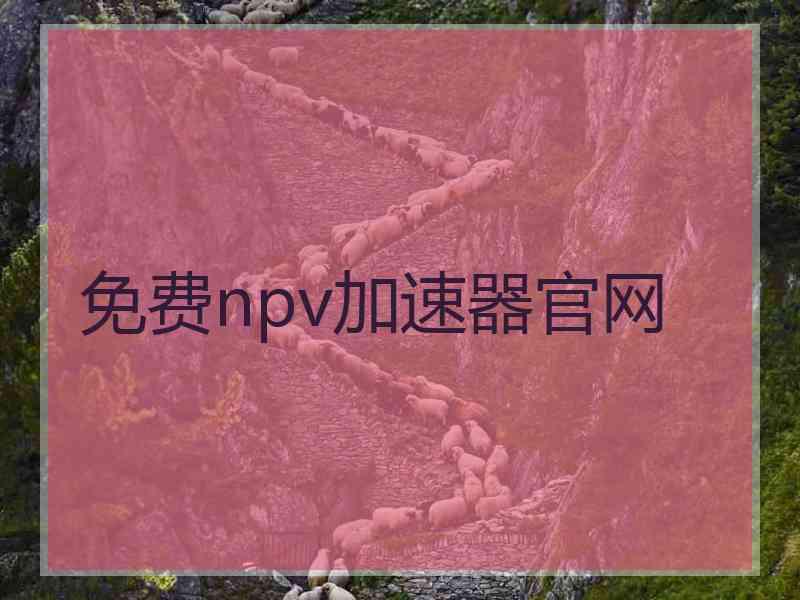 免费npv加速器官网