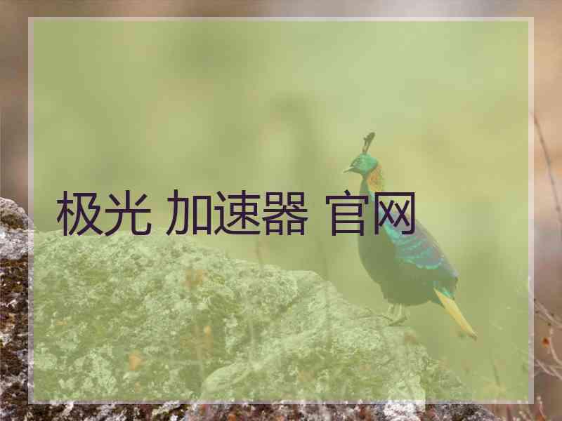 极光 加速器 官网