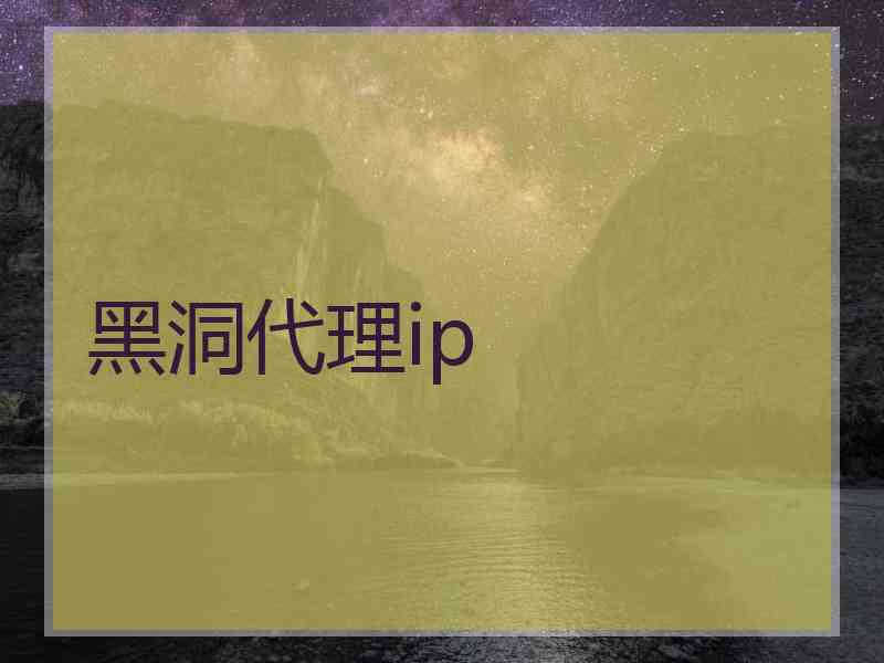 黑洞代理ip