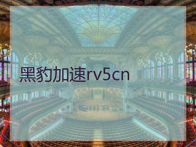 黑豹加速rv5cn