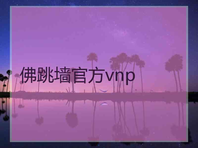 佛跳墙官方vnp