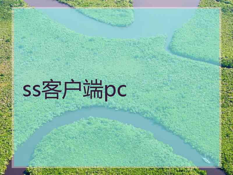 ss客户端pc