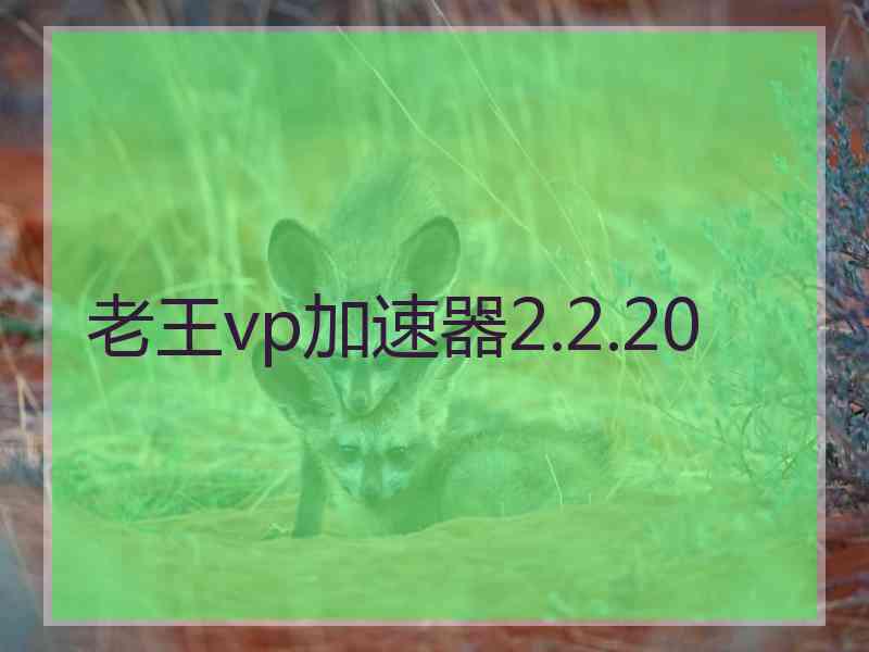 老王vp加速器2.2.20