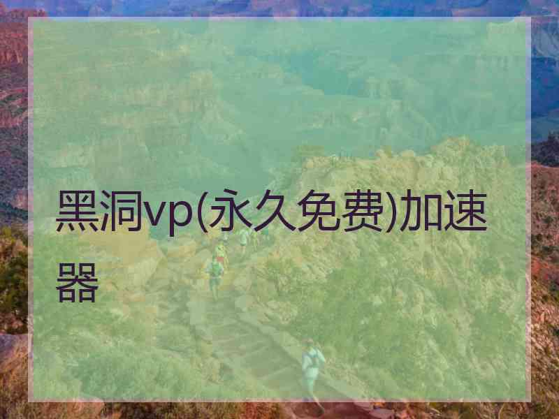 黑洞vp(永久免费)加速器