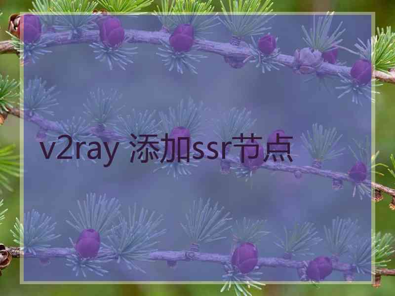 v2ray 添加ssr节点