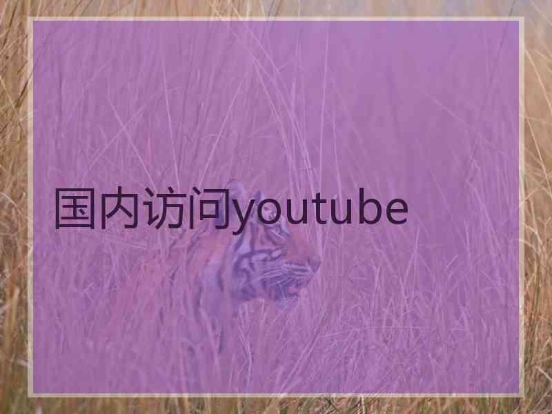 国内访问youtube