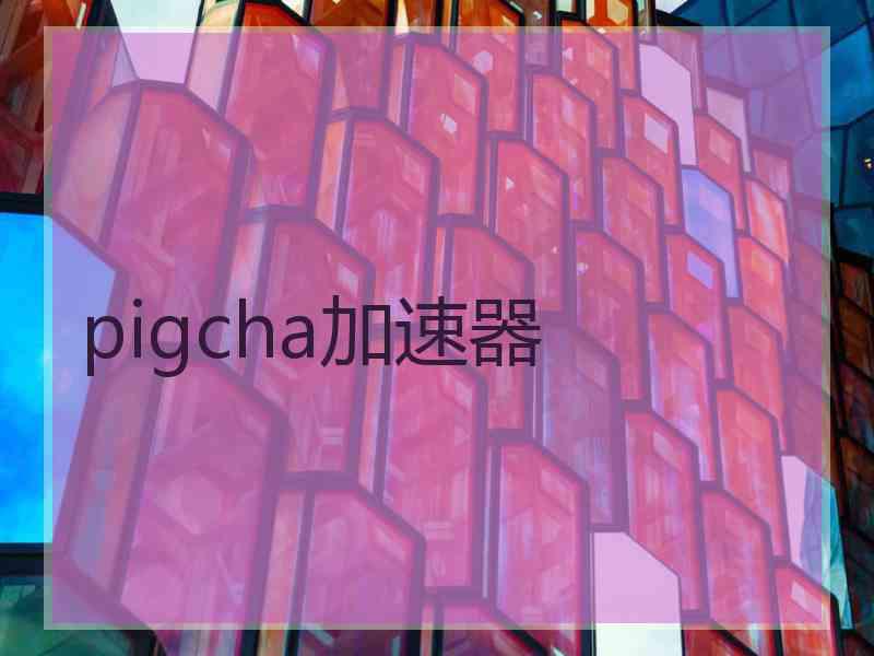 pigcha加速器